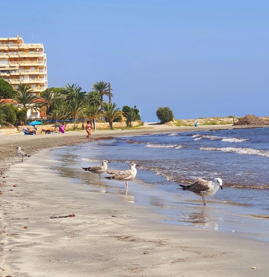 Sunflower Residence First Line By The Sea Santa Pola Exteriér fotografie